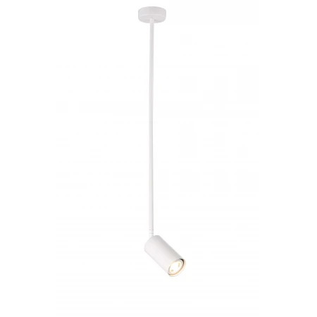 P070DW/1 WHITE (1) Светильник (NW) 