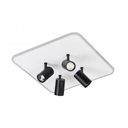 2468/480 WHITE+BLACK (1) Люстра (RL)  2468/480 WHITE+BLACK (1) Люстра (RL)