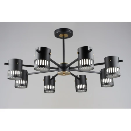 6674/8 BK+COP (1) Люстра (RL) # 