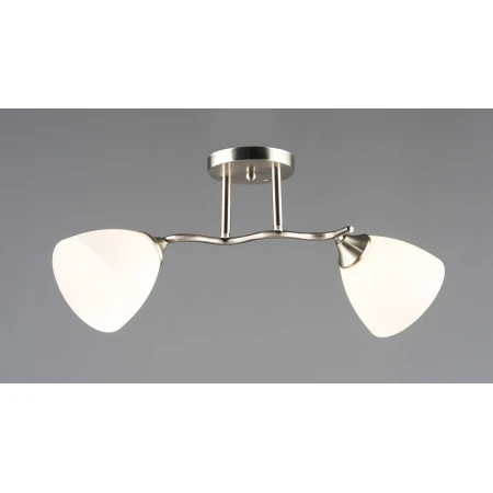 6970/2 SN (6) Люстра RL 