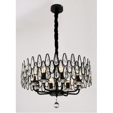 89014/8 BK (1) Люстра RL 