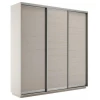 Шкаф-купе Экспресс Элемент трио