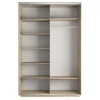 Шкаф-купе Экспресс Медиум дуо