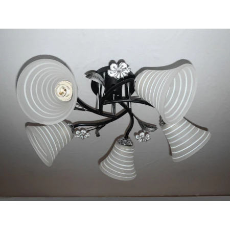 ДС7342B/5 CR+BK (4) светильник потолочный [01091455]