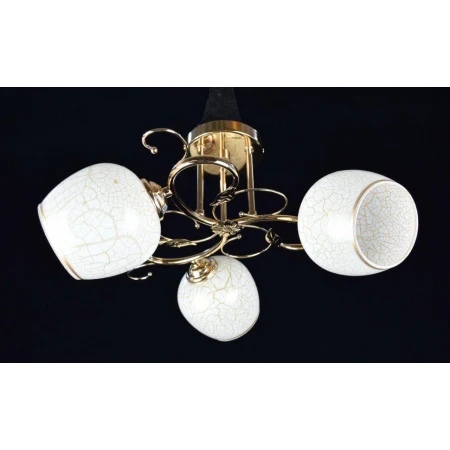 Т91051/3A FGD (4) светильник потолочный [01079227]