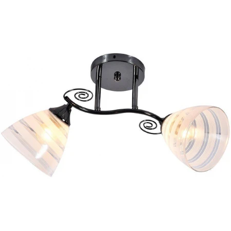 МС-XA1150/2 BKPL (10) светильник потолочный [01091072]