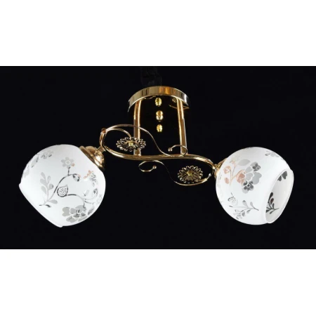 ДС2148/2 FGD (6) светильник потолочный [01079315]