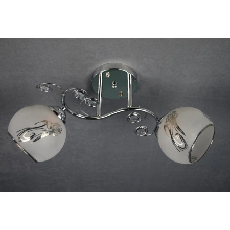 ДС-M3025/2 (6) CR светильник потолочный [01074774]