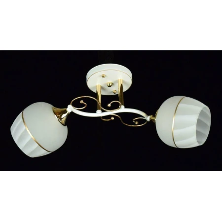 ВР-N3310/2 WT+FG (10) светильник потолочный [01085660]