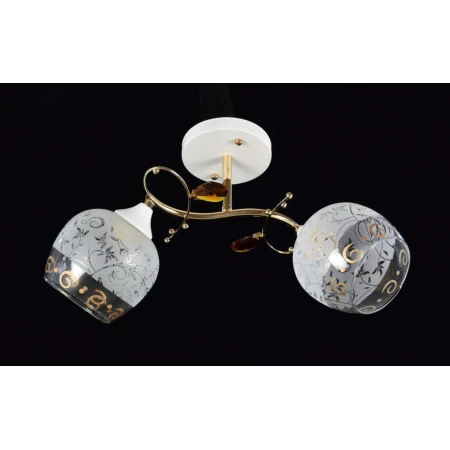 ВР-N2286/2 FGD+WT (6) светильник потолочный [01079257]