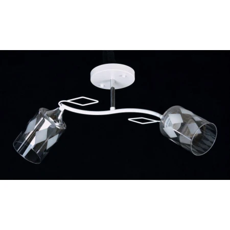 ВР-C1385/2 WT+CR (10) светильник потолочный [01095043]