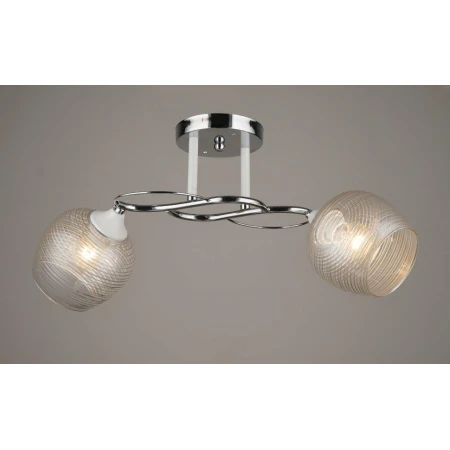 ВР-C1376/2 CR+WT (10) светильник потолочный [01095040]