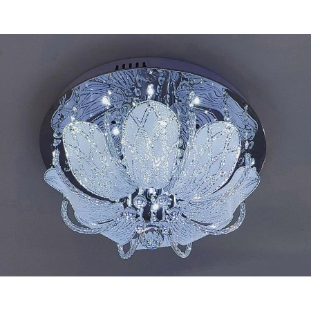 55252/400  WT (1) 55252/400  WT (1)