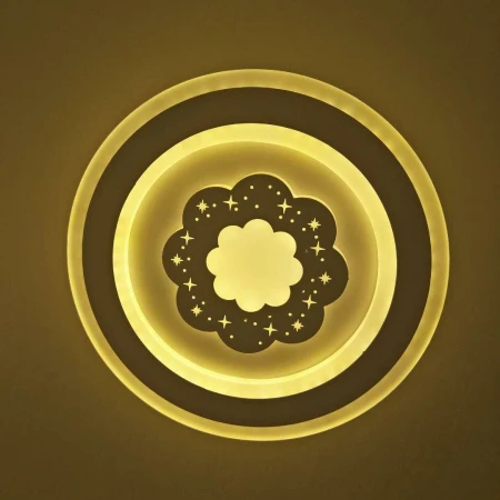 6205B/240-36W  (12) 6205B/240-36W  (12)