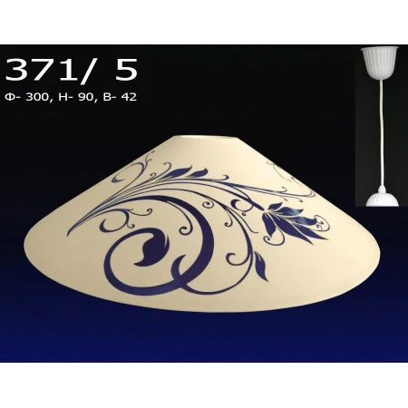 PP Вьетнамка 371Б/5  (5)