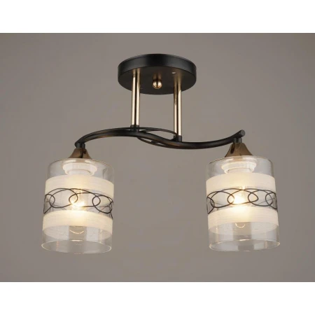 ВР-A3381/2 BK+FG (10) светильник потолочный [01094233] - Эконом класс люстры