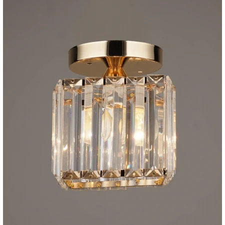 ВР-N3896/1H FGD D135*H170мм  (20) светильник потол [01096589] - Эконом-Плюс люстры