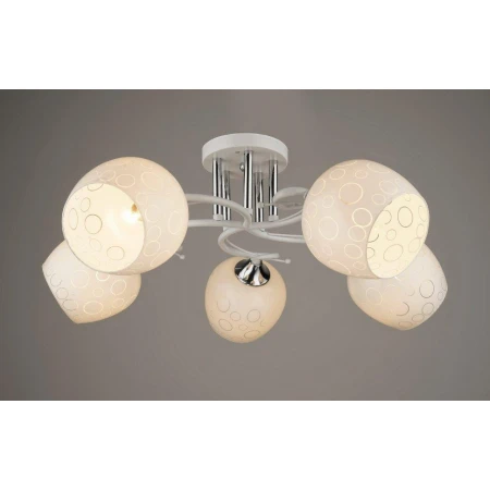 ВР-N3842/5 WT+CR (4) светильник потолочный [01092074] - Эконом класс люстры