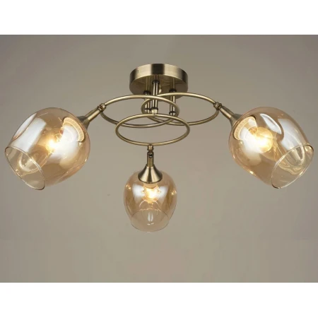 P5731/3 (1) - Эконом класс люстры