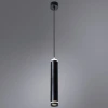 Подвесной светодиодный светильник Arte Lamp Altais A6110SP-2BK