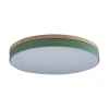 Потолочный светодиодный светильник Loft IT Axel 10001/36 green Потолочный светодиодный светильник Loft IT Axel 10001/36 green
