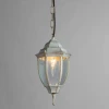 Уличный подвесной светильник Arte Lamp Pegasus A3151SO-1WG