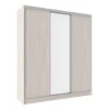 Шкафы-купе 3-х дверный Домашний бодега светлый, зеркальный 