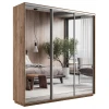 Шкафы-купе 3-х дверный Экспресс Экспенс трио зеркальный 