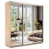 Шкафы-купе 3-х дверный Экспресс Экспенс трио зеркальный 