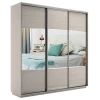 Шкафы-купе 3-х дверный Экспресс Комби трио зеркальный, ясень шимо светлый 