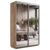 Шкафы-купе 2-х дверный Экспресс Экспенс Дуо зеркальный 