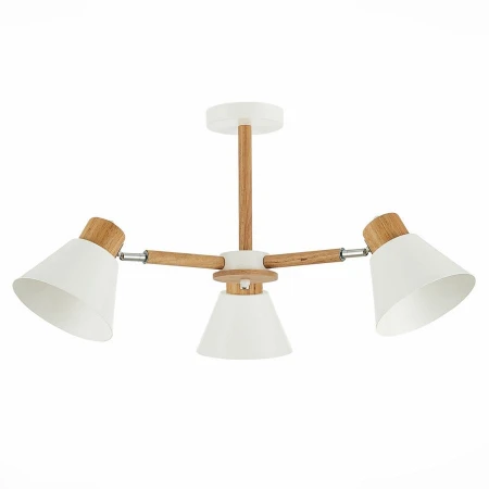 Люстра EVOLUCE SLE103702-03 BUVE