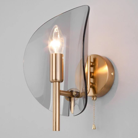 Люстра Eurosvet 60135/1 латунь Rocco