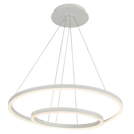 Светильник Donolux S111029/2 D600 Hoop Light
