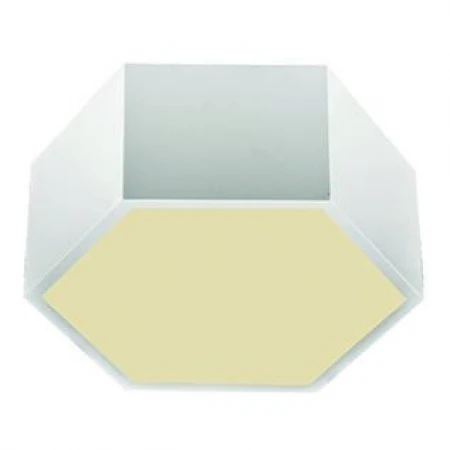 Светильник BLS 44256