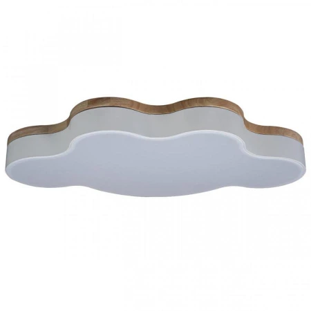 Светильник Loft IT 10005/36 White Axel