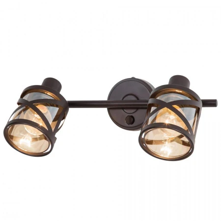 Спот Citilux CL536625 Гессен Спот Citilux CL536625 Гессен