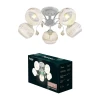Потолочная люстра Ritter Verona 52531 8 Потолочная люстра Ritter Verona 52531 8