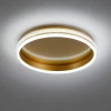 Потолочный светодиодный светильник Feron Shinning ring AL5880 41694