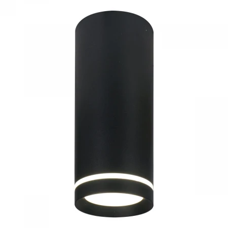 Потолочный светодиодный светильник Escada 20009SMU/02LED SBK