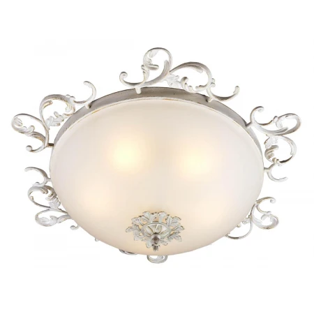 Потолочный светильник Omnilux OML-76517-05