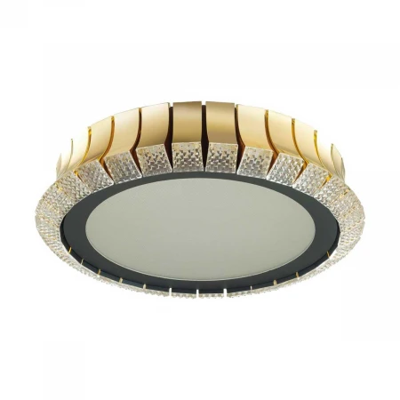 Потолочный светодиодный светильник Odeon Light Asturo 4994/75L