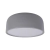 Потолочный светодиодный светильник Loft IT Axel 10201/350 Grey