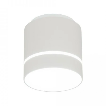 Потолочный светодиодный светильник Citilux Борн CL745020N