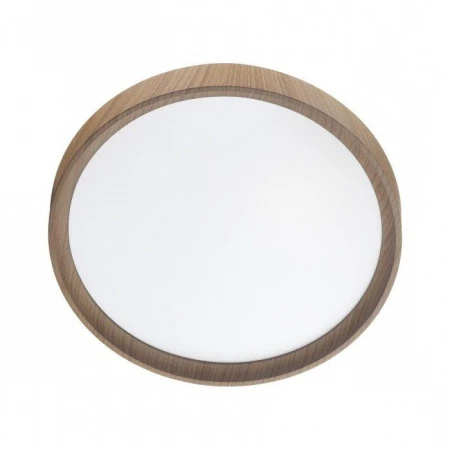 Настенно-потолочный светодиодный светильник Sonex Woodi 7603/DL