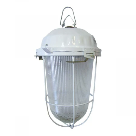 Уличный подвесной светильник TDM Electric НСП 02-200-022.01 SQ0310-0012 Уличный подвесной светильник TDM Electric НСП 02-200-022.01 SQ0310-0012