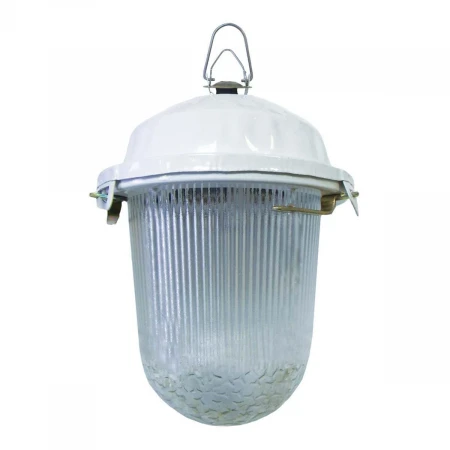 Уличный подвесной светильник TDM Electric НСП 02-100-001.01 SQ0310-0009 Уличный подвесной светильник TDM Electric НСП 02-100-001.01 SQ0310-0009