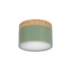 Накладной светодиодный светильник Loft IT Grape 10162 Green