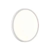 Настенно-потолочный светодиодный светильник Sonex Mitra Alfa White 7659/24L