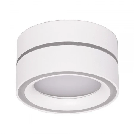 Потолочный светильник Feron HL455 48752